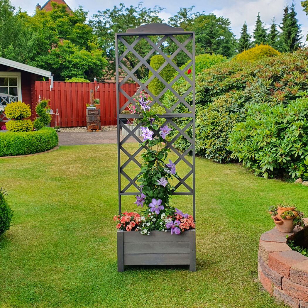 Grauer Rankkasten mit Rankgitter und Blumen