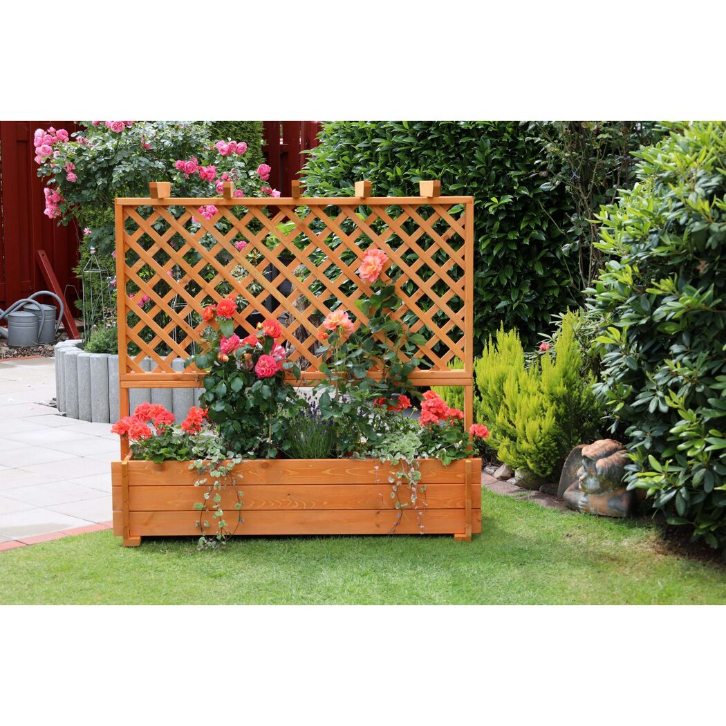 Rankkasten mit Pergola braun 140 x 140 x 46,5 cm