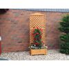 Blumenkasten mit Rankgitter