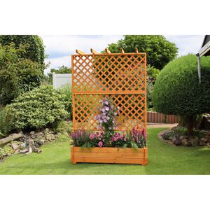 Rankkasten mit Pergola braun 140 x 200 x 64,5 cm