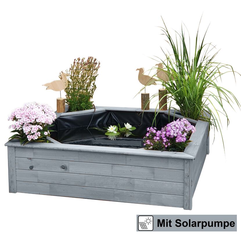 Grauer Holz-Hochteich mit Pumpe und Pflanzen