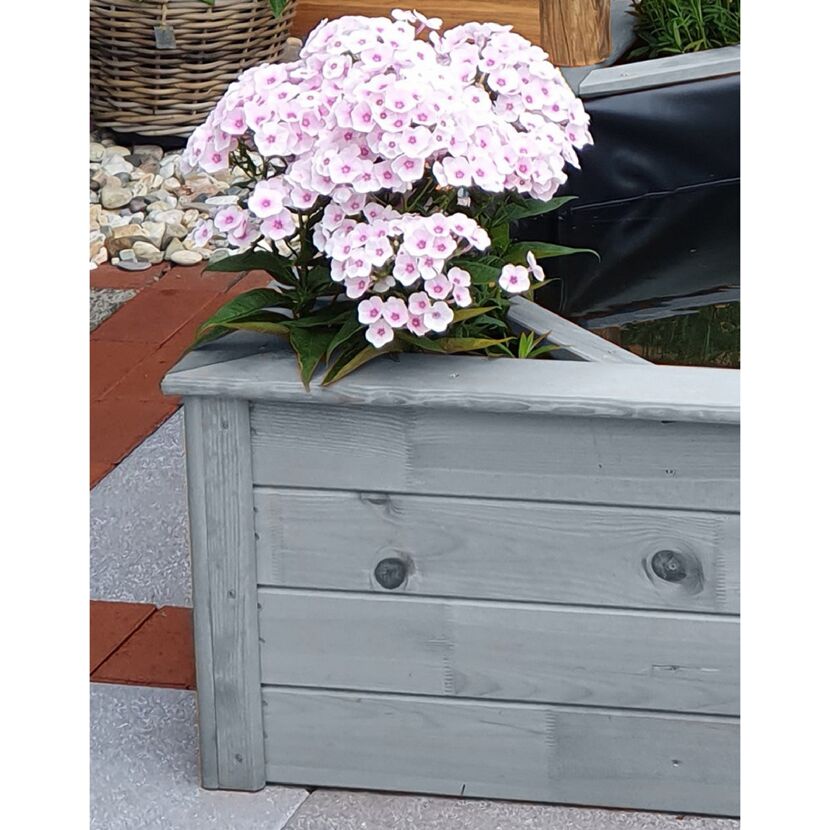 Grauer Holz-Hochteich mit rosa Blüten