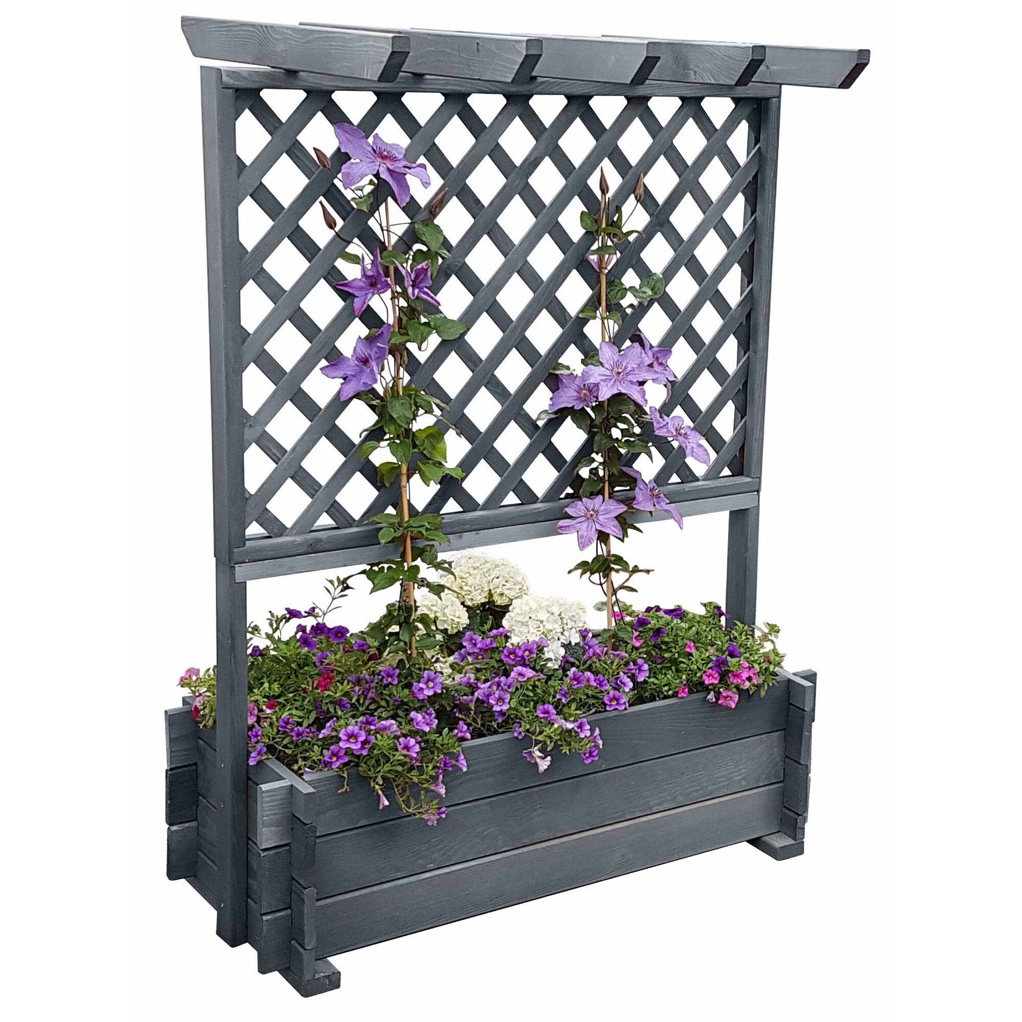 Grauer Rankkasten mit Rankgitter und Blumen