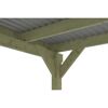 Doppelcarport 'Friesland Hybrid Set 13' Fichtenholz 557 x 555 cm