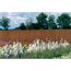 Gartenzaun aus Farn, dahinter blühende Blumen