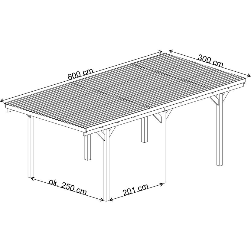 Einzelcarport 300x600 cm mit Pfosten 9x9 cm.