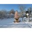 Winterschutz für Topfpflanzen im Garten