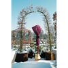Drei mit Winterschutzvlies umwickelte Bäumchen im Schnee