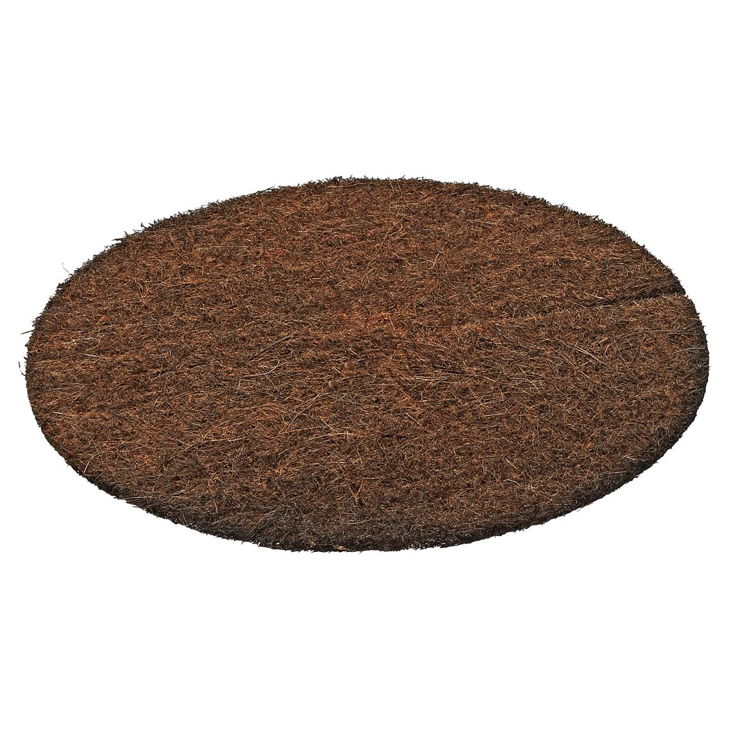 Braune Kokos-Scheibe