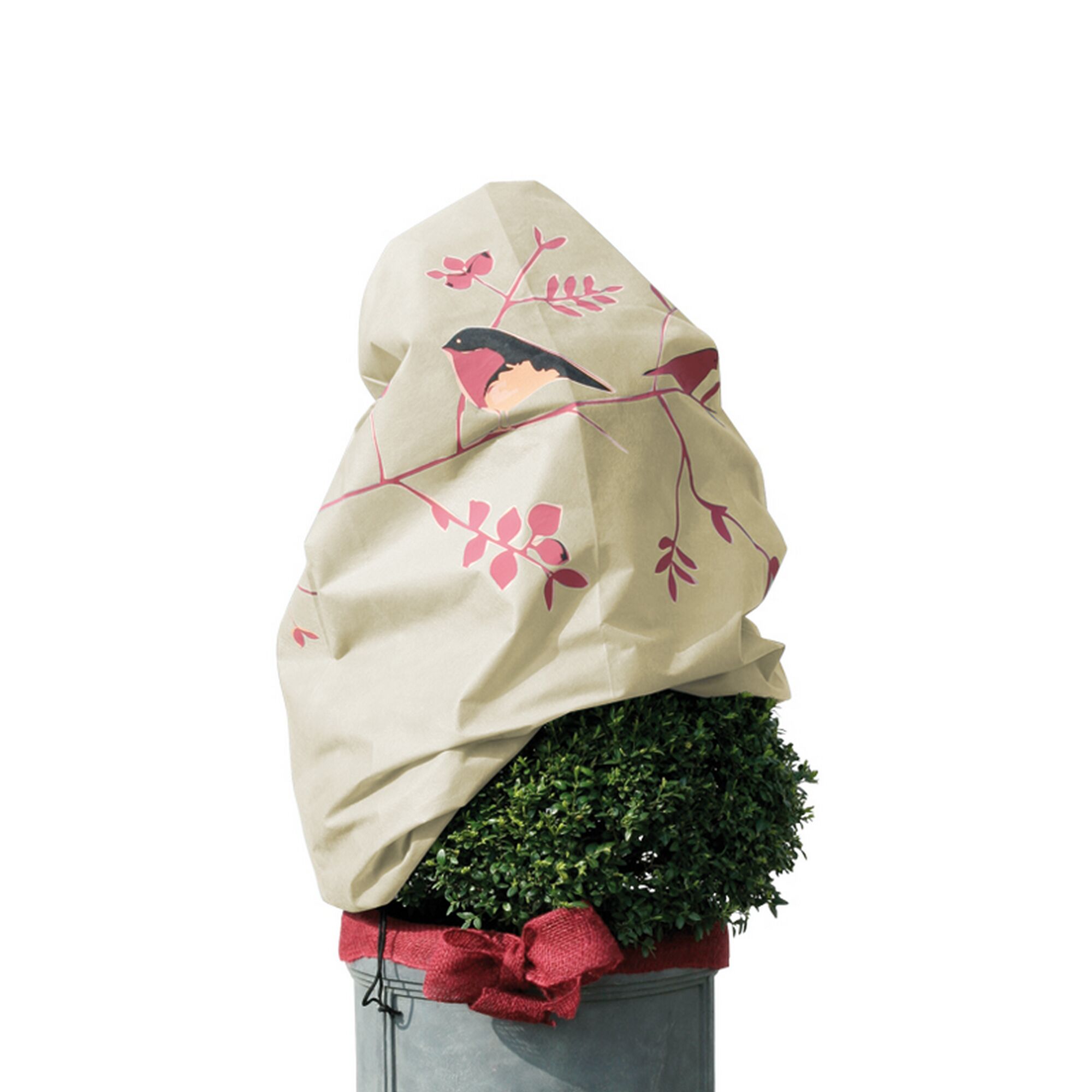 Buchsbaum mit Vlieshaube mit Vogelmotiv