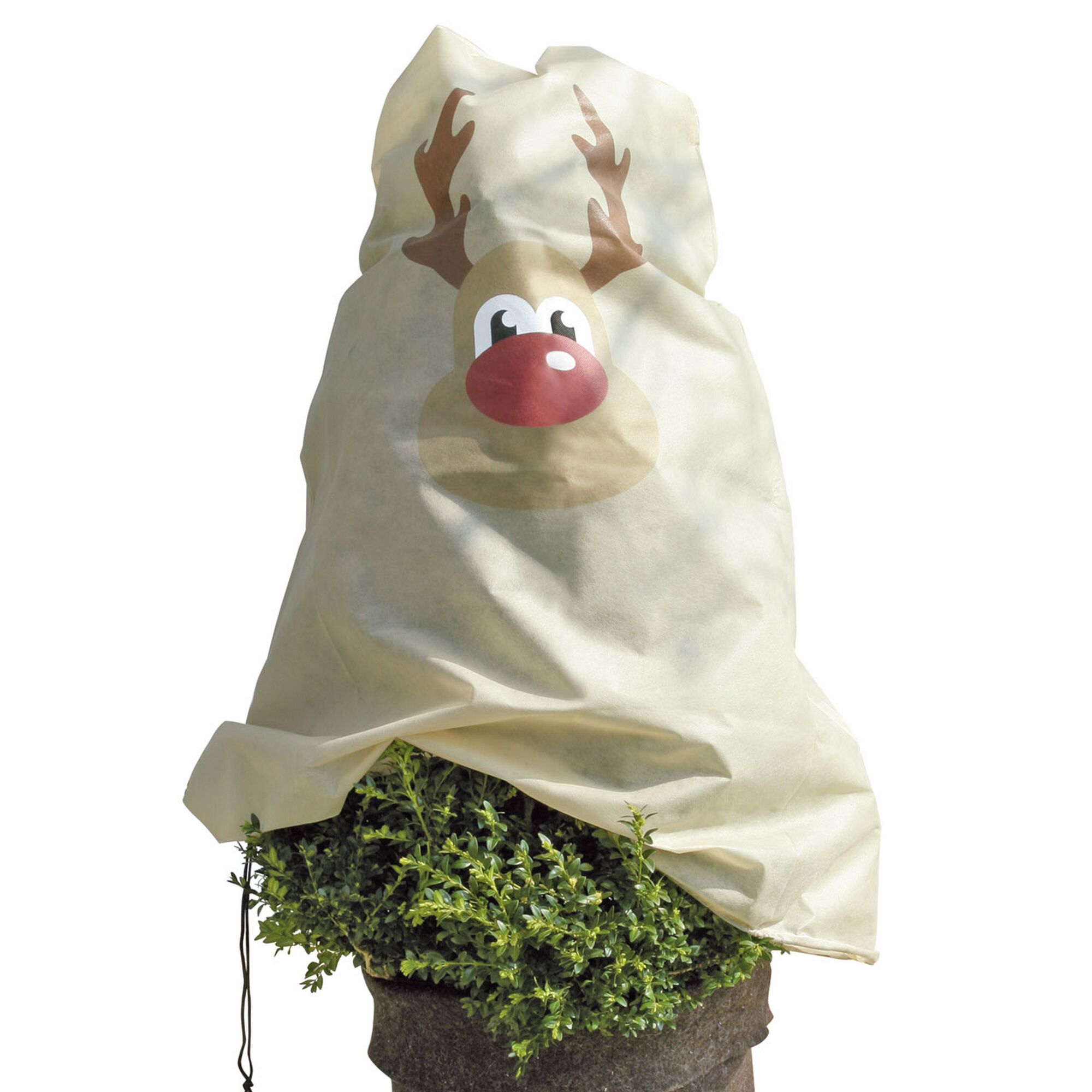 Buchsbaum mit Vlieshaube Rentier