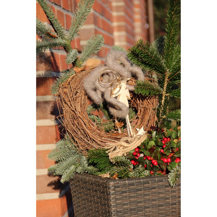 Adventskranz mit Tannenzweigen und Beeren