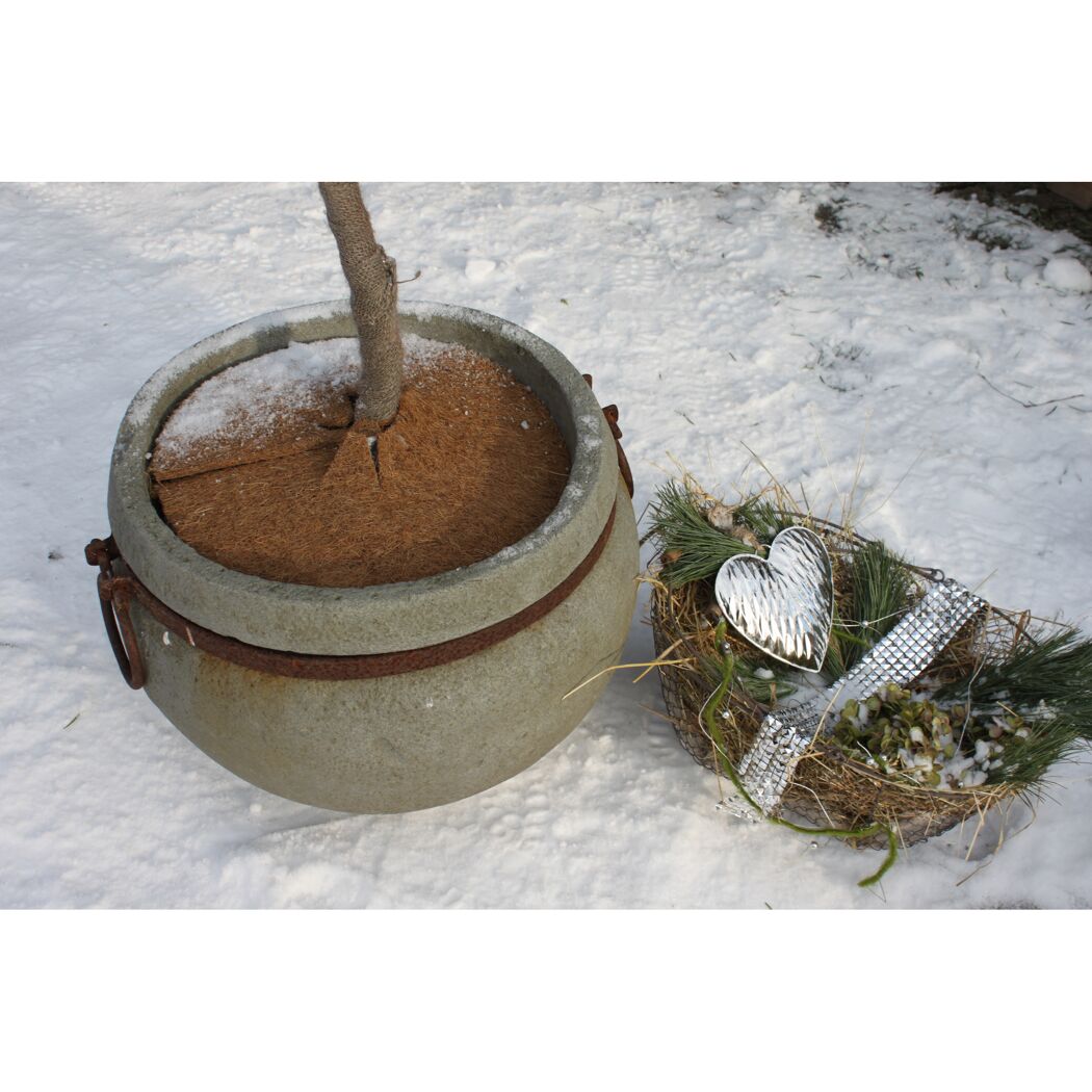 Kokos-Scheibe im Topf im Schnee