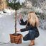 Person bringt Heizkabel am Baum an