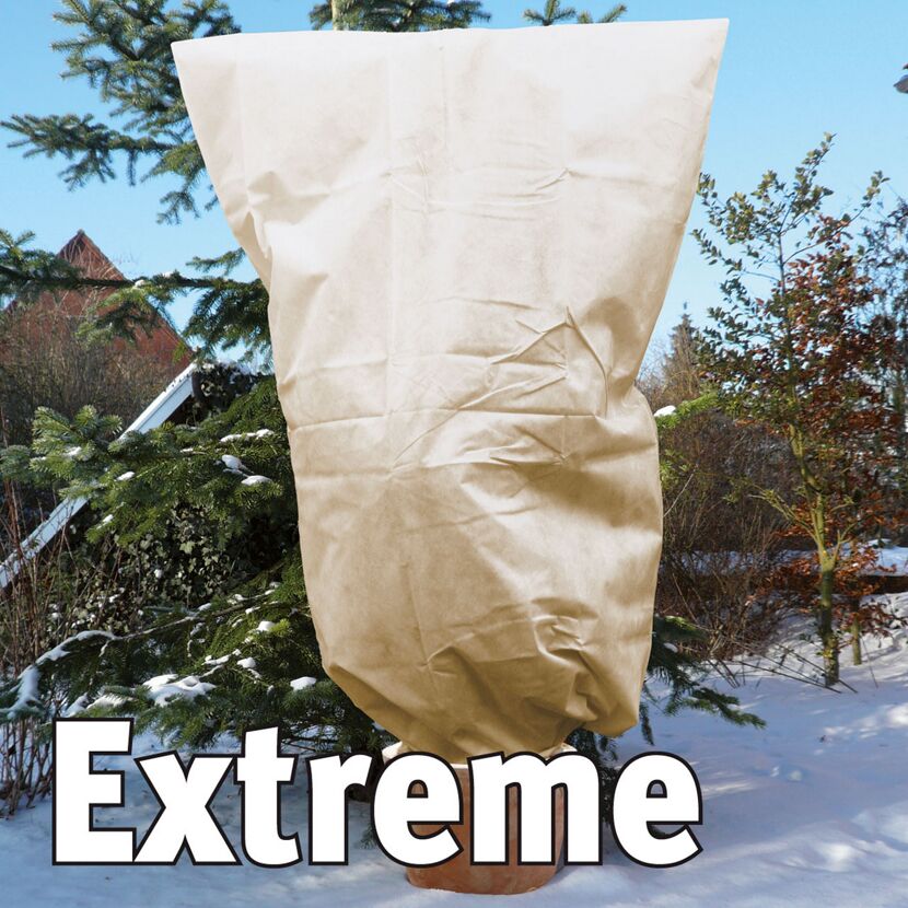 Pflanze mit Vlieshaube im Winter