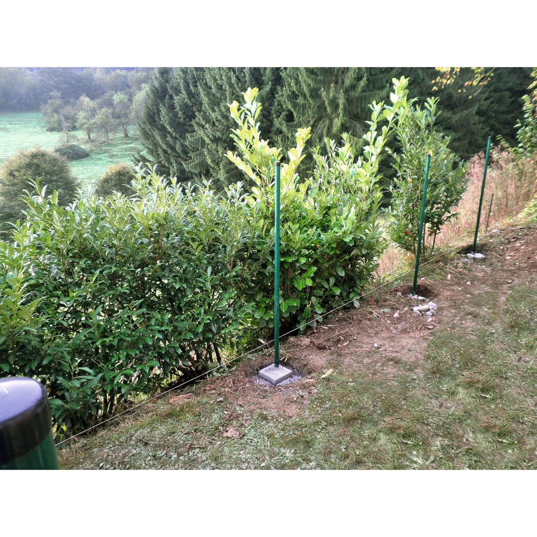 Zaunpfosten im Garten