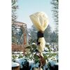 Winterschutz-Vlies 1,5 x 5 m beige