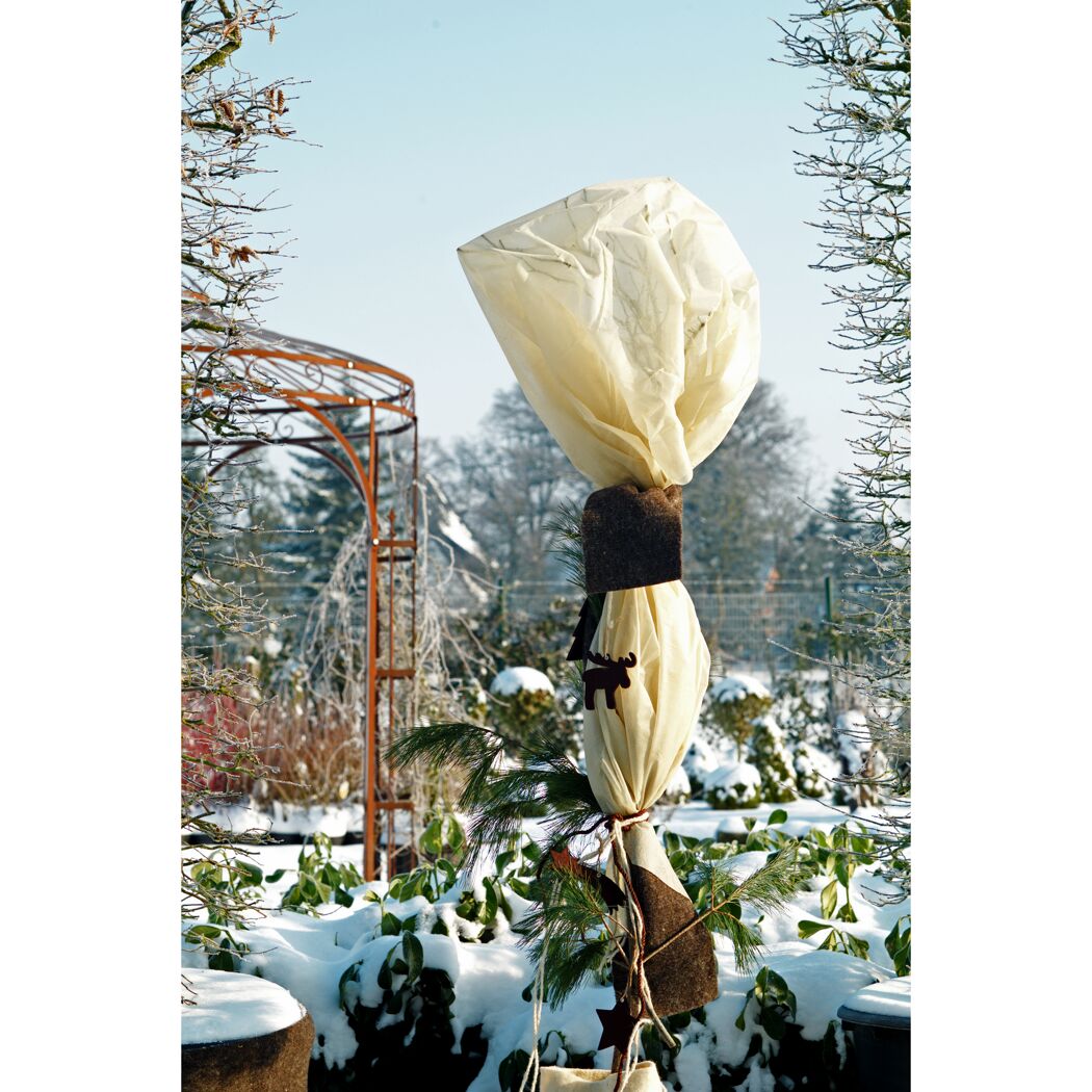 Winterschutz-Vlies 1,5 x 5 m beige