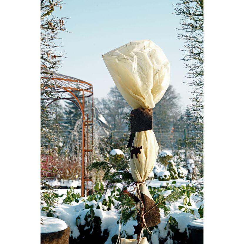 Winterschutz-Vlies 1,5 x 5 m beige