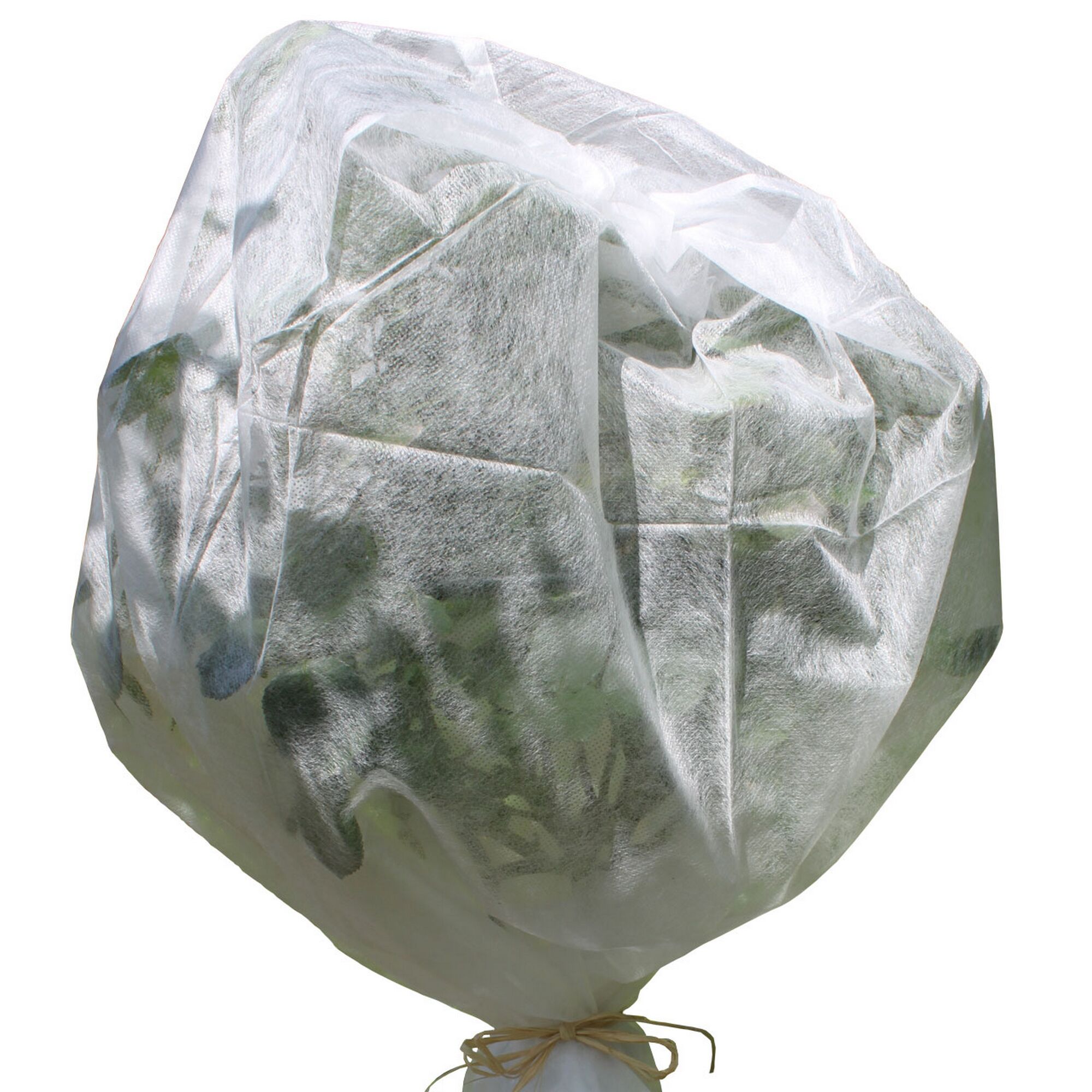 Pflanze mit Vlieshaube