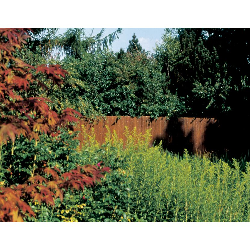 Weidenmatte hinter Sträuchern