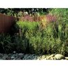 Gartenbereich mit Weidenmatte und blühenden Pflanzen