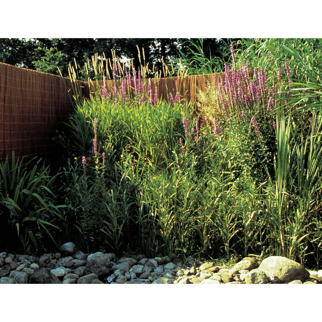 Gartenbereich mit Weidenmatte und blühenden Pflanzen