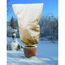 Vlieshaube EXTREME an Pflanze im Topf im Schnee