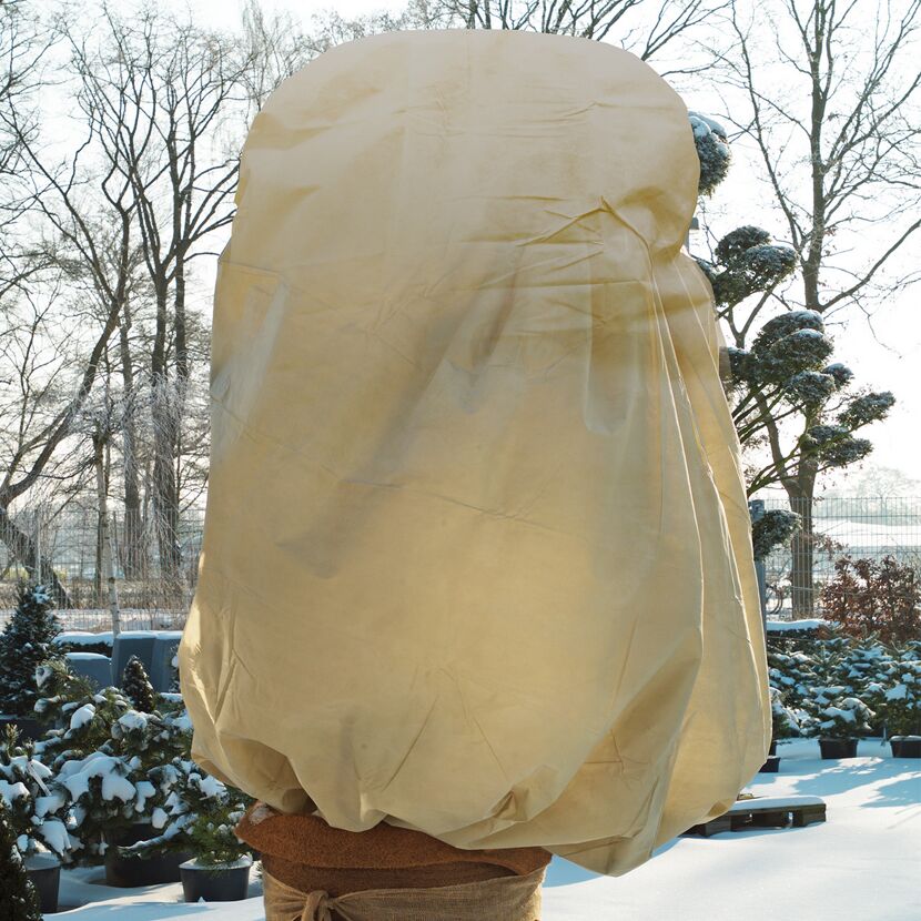 Winterschutzhülle für Pflanze