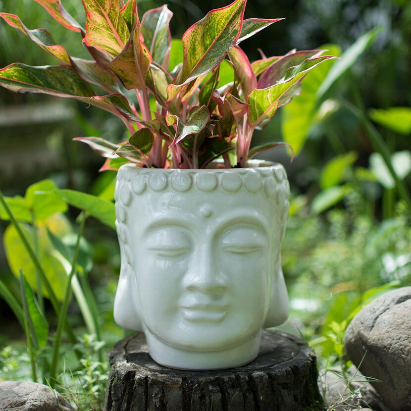Weißer Buddha-Kopf als Blumentopf im Garten