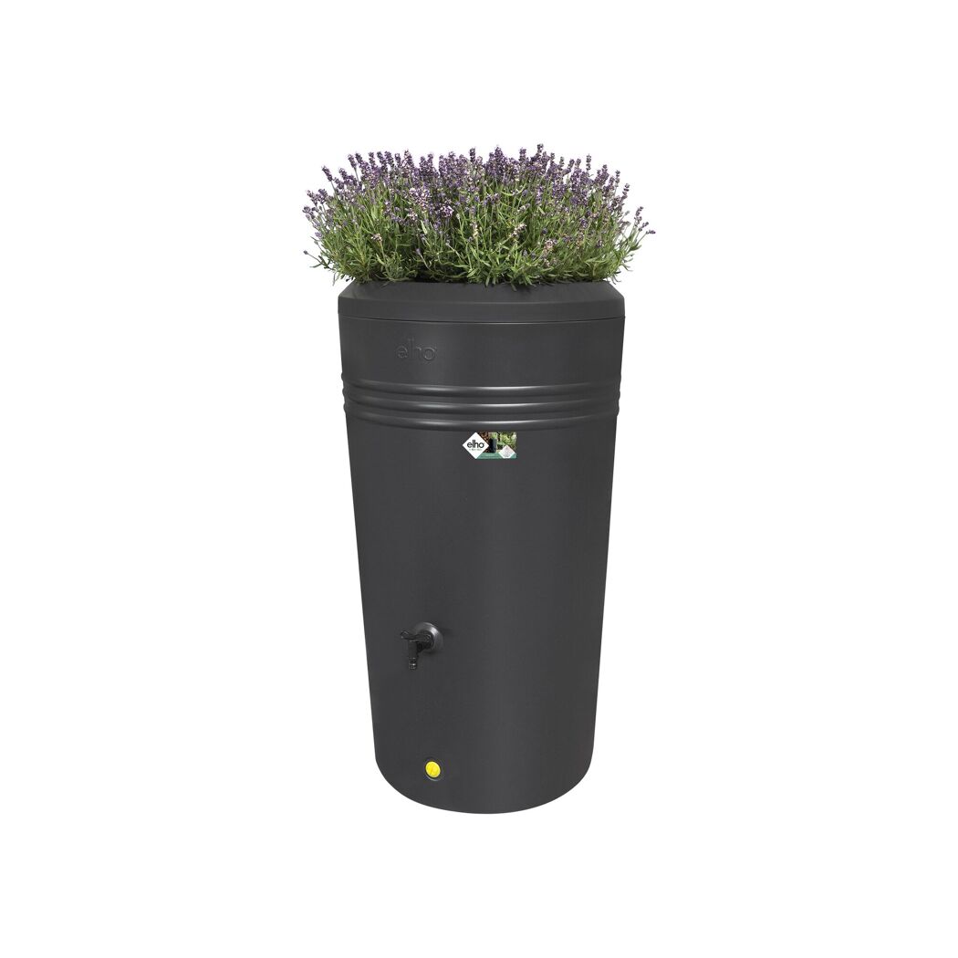 Schwarze Regentonne elho green basics mit Lavendel bepflanzt