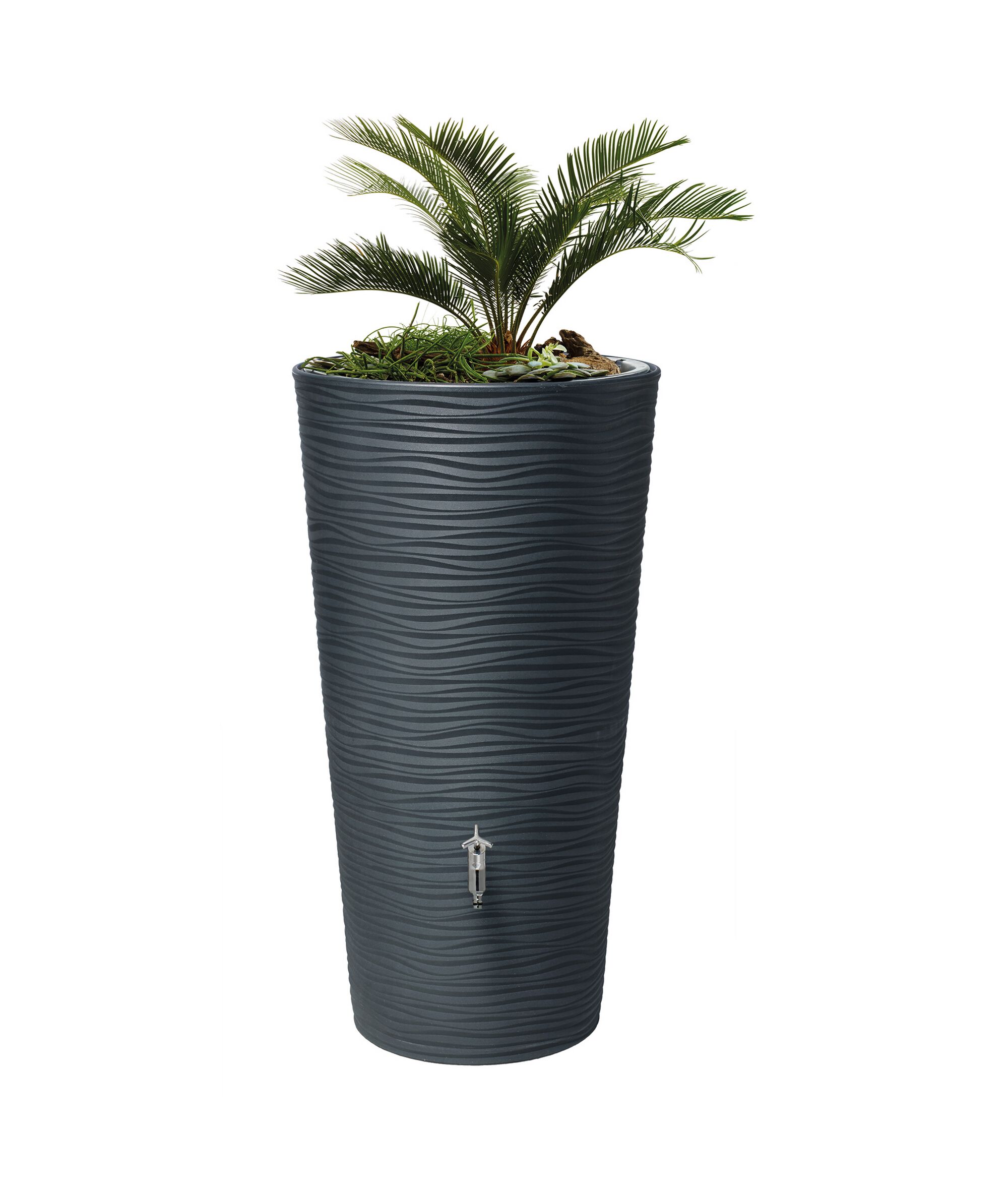 Regentonne graphit mit Pflanze