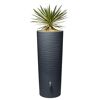 Regentonne graphit mit Yucca-Palme