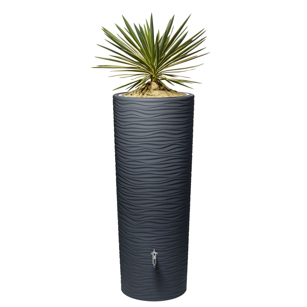 Regentonne graphit mit Yucca-Palme