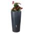 Regentonne Stone 2in1 210 L, lava