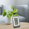 Digitales Thermometer neben einer Pflanze