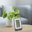 Digitales Thermometer neben einer Pflanze