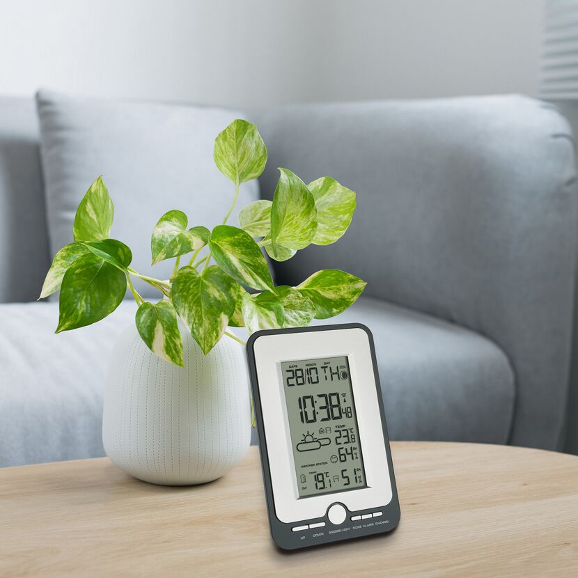 Digitales Thermometer neben einer Pflanze