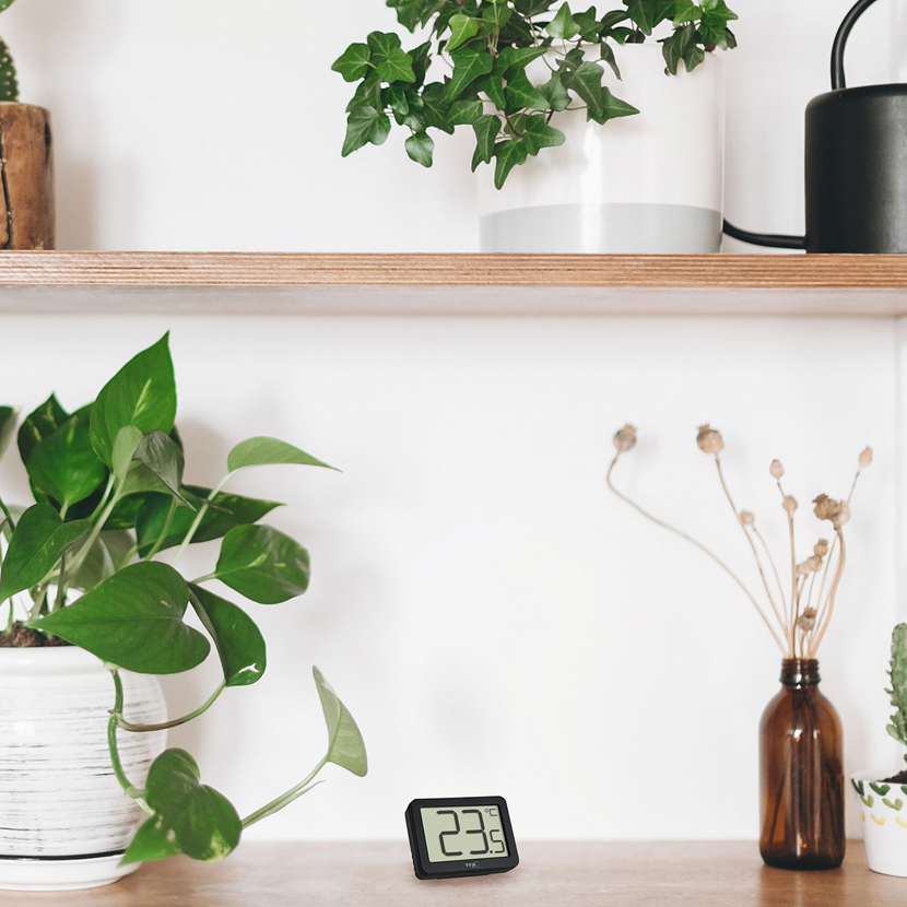 Digitales Thermometer mit Zimmerpflanzen im Regal