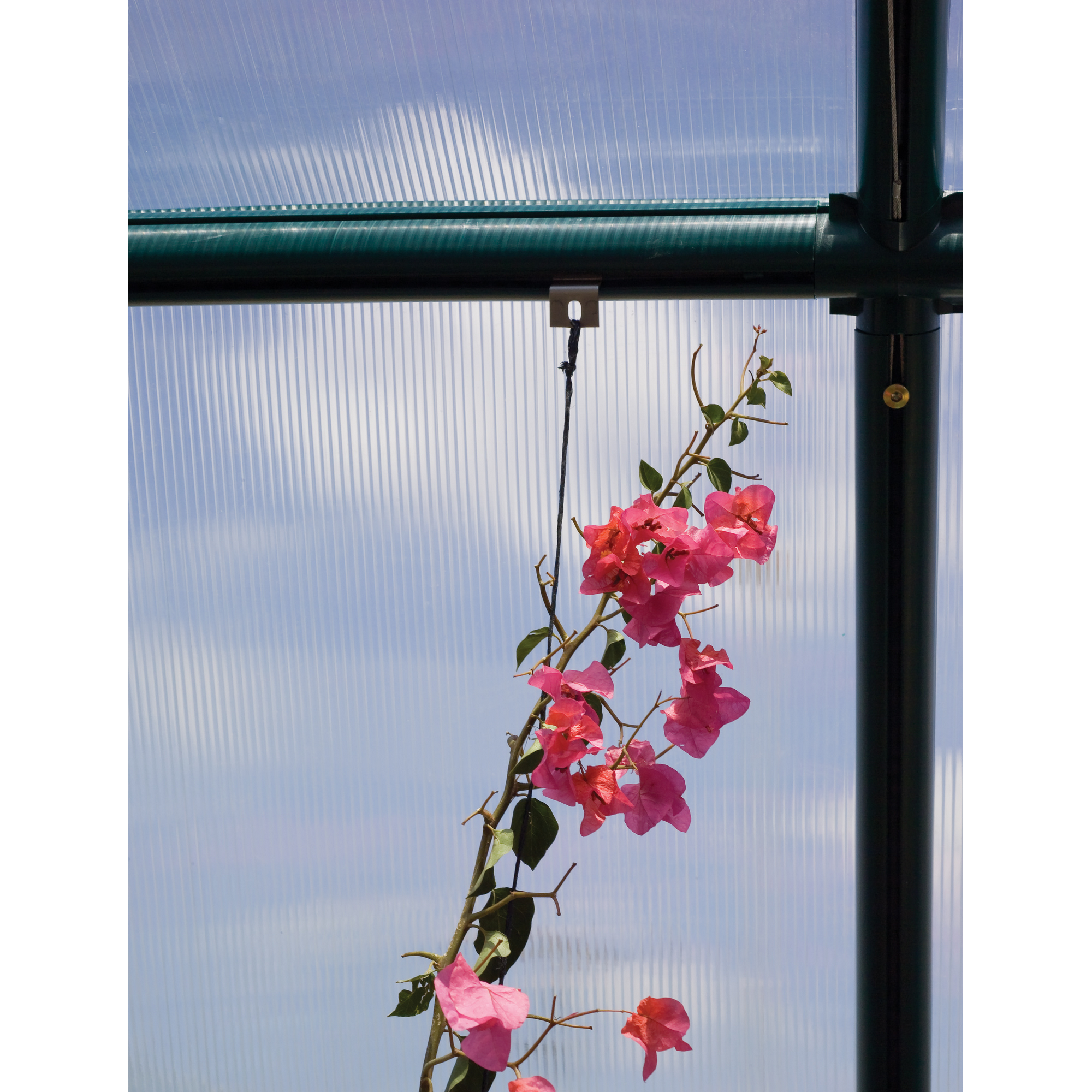 Verankerungs-Set und Aufhänger-Clips für Rion Gewächshaus, 10-teilig