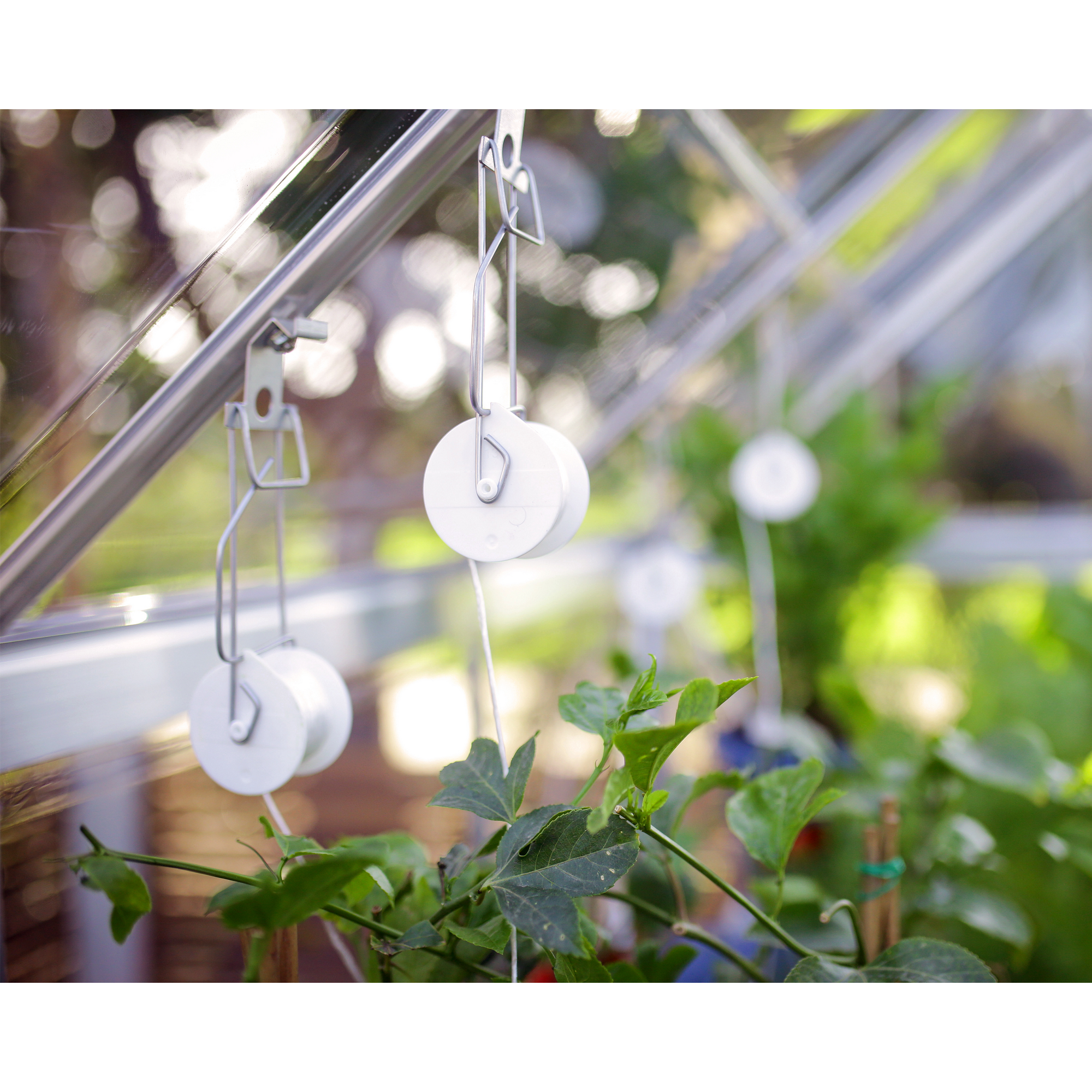 Rollhaken-Set 'Pro' für Gewächshaus-Pflanzen