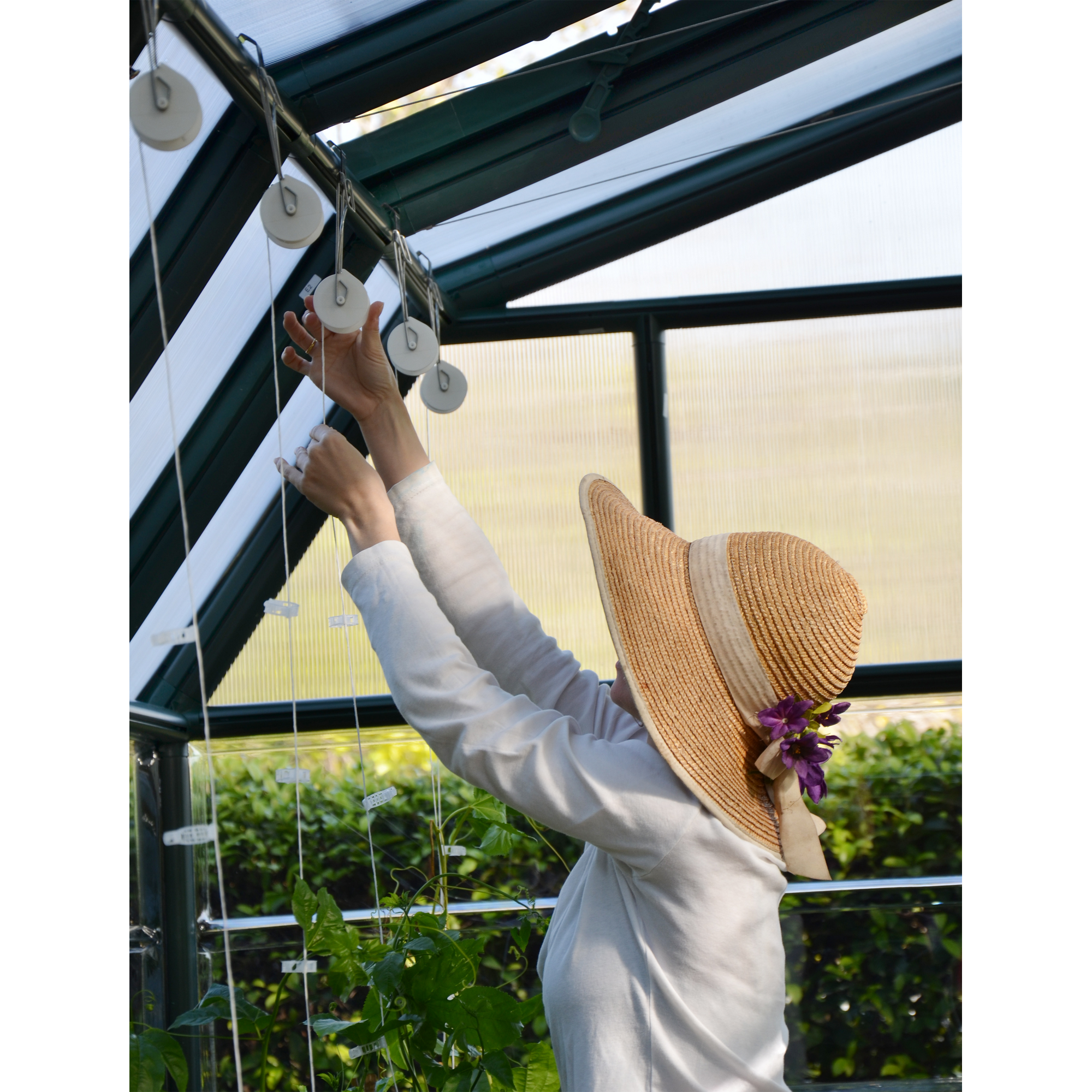 Rollhaken-Set 'Pro' für Gewächshaus-Pflanzen