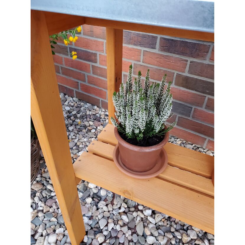 Pflanztisch aus Holz mit weißer Pflanze