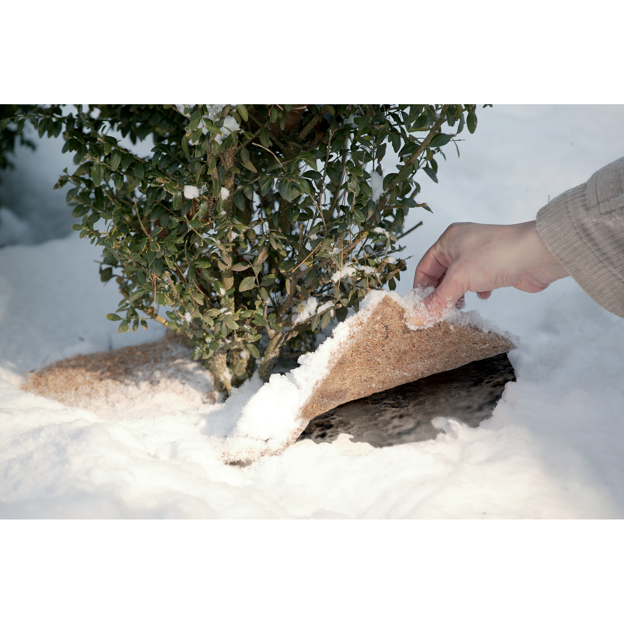 Winterschutzmatte 'CocoQuad Disc' Kokos 45 x 45 cm