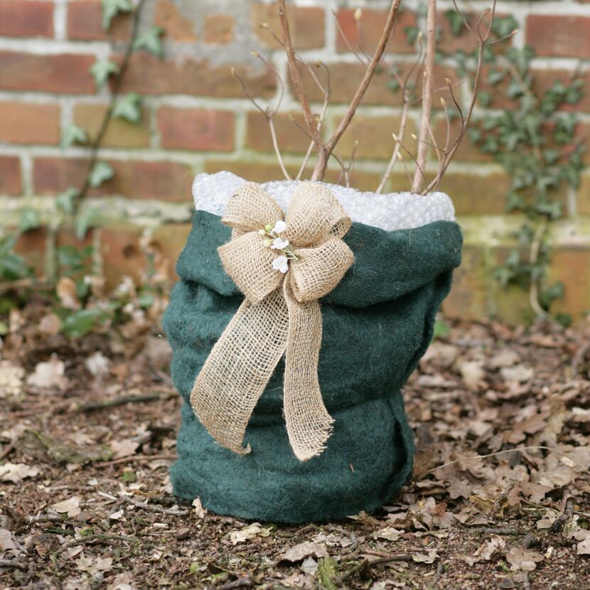 Ein kleiner Strauch in Jute verpackt mit Schleife.