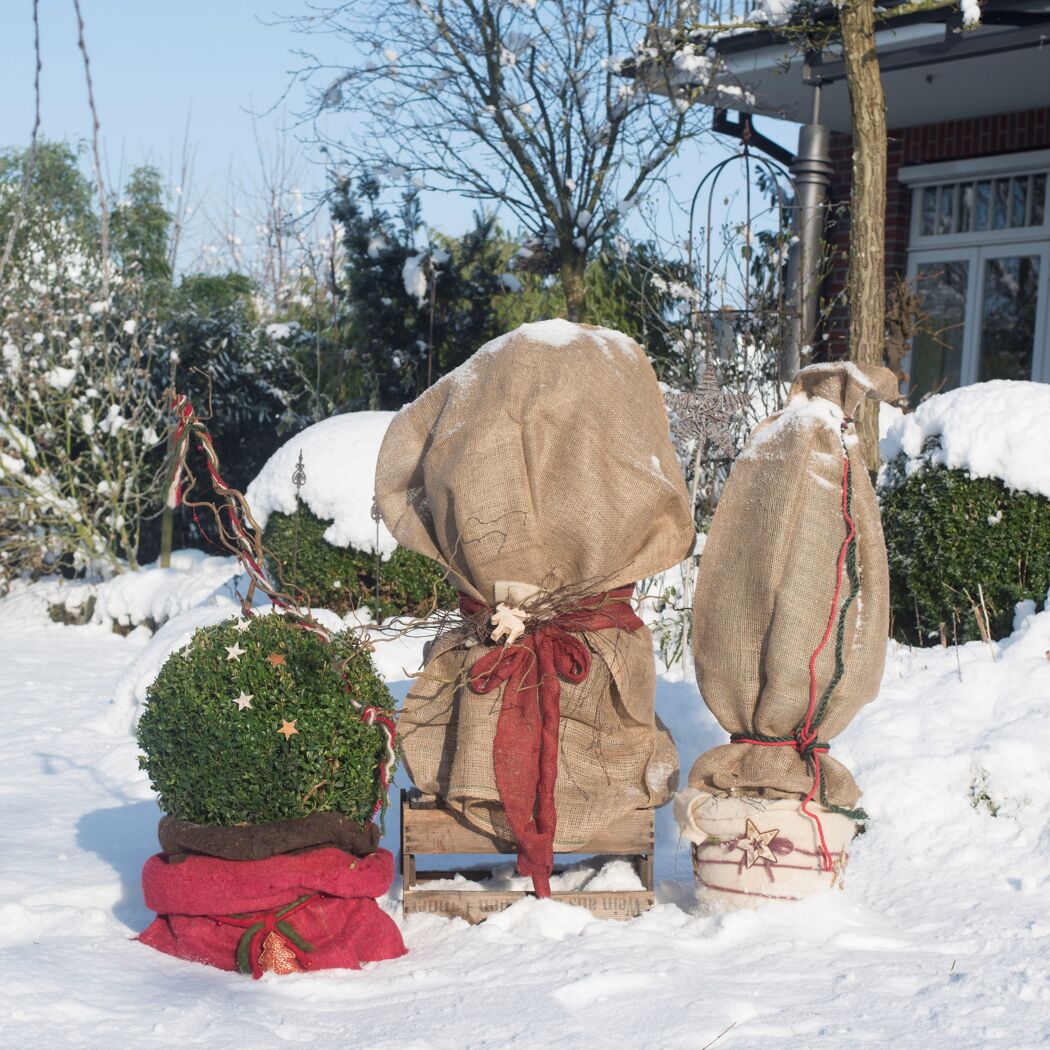 Drei in Jute eingepackte Topfpflanzen im Schnee