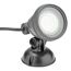 Schwarzer Lunaqua Classic LED Unterwasserscheinwerfer
