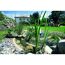 Teichschale mit Springbrunnen und Pflanzen