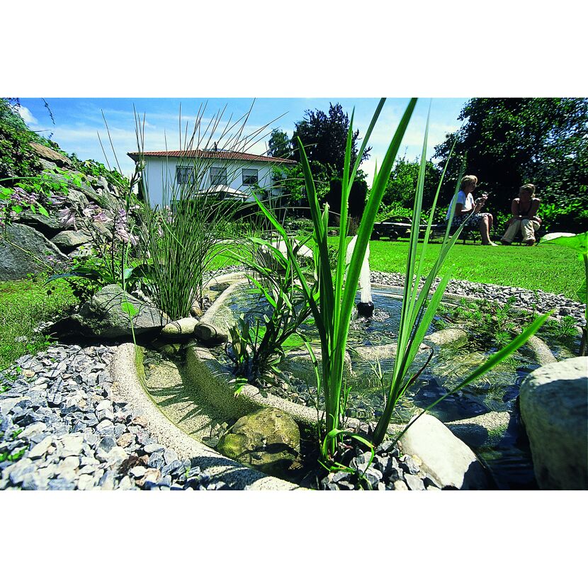 Teichschale mit Springbrunnen und Pflanzen