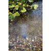 Teichfilter 'AquaOxy 500'
